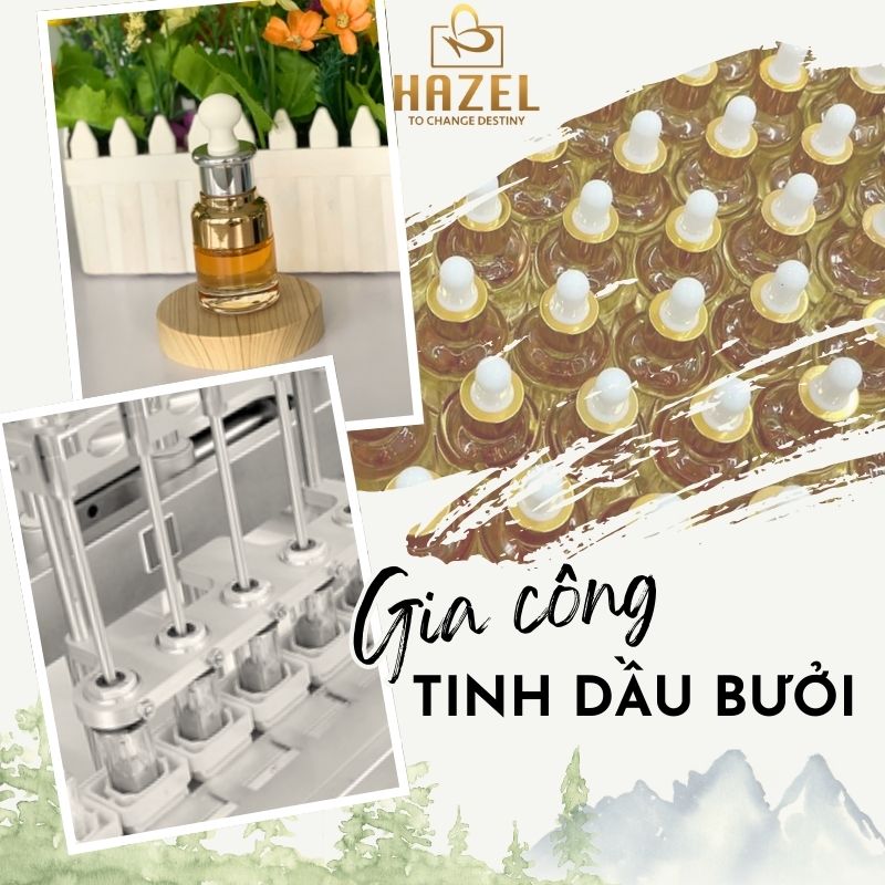 Gia công tinh dầu bưởi