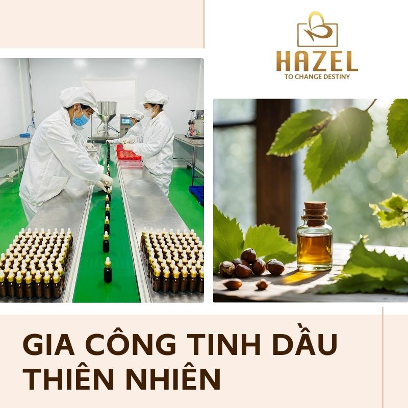 Gia công tinh dầu tự nhiên